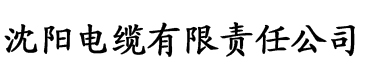 一九香蕉视频电缆厂logo